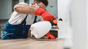 Best Pest Prevention Services  in Worthgton, IN